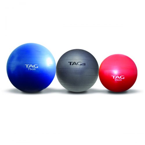 Stability Ball Tag Fitness