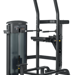 Elite Chin/Dip Assist Dual Select