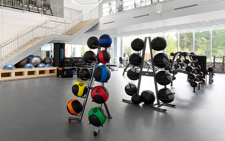 Gym Equipment