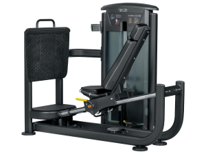 Elite Leg Press/Calf Extension Dual Select