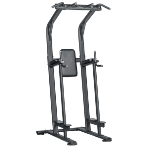 TAG Vertical Knee Raise Chin Dip